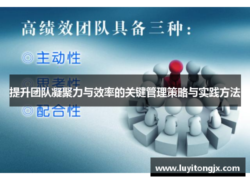 提升团队凝聚力与效率的关键管理策略与实践方法