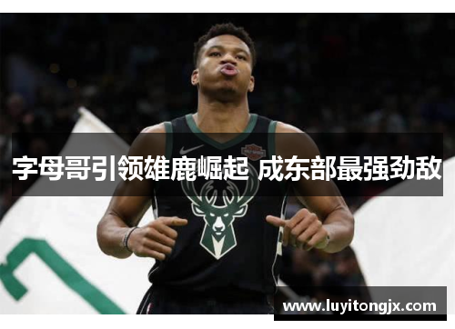 字母哥引领雄鹿崛起 成东部最强劲敌